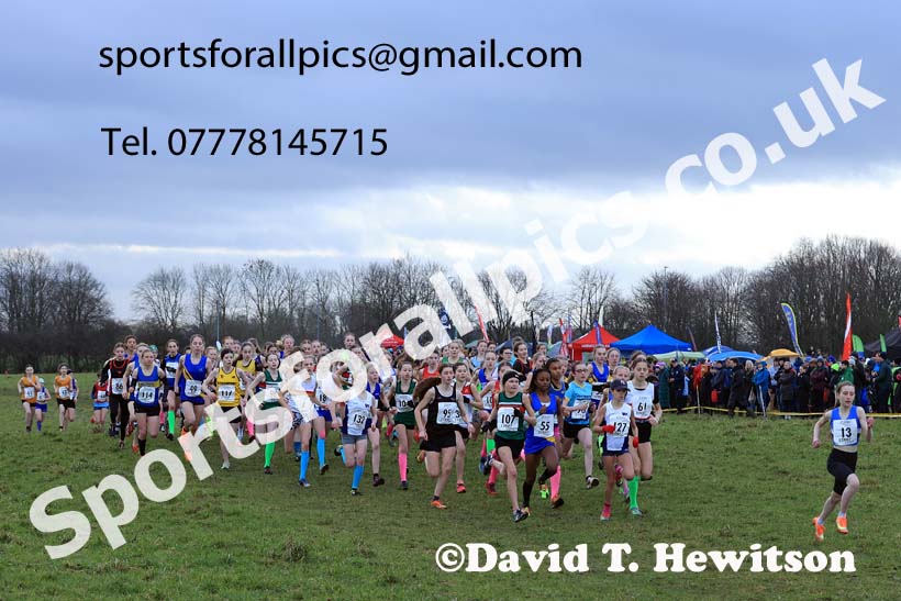 Girls Under-13s 2024 Northern Cross Country Champs., Sedgefield. Photo: David T. Hewitson/Sports for All Pics